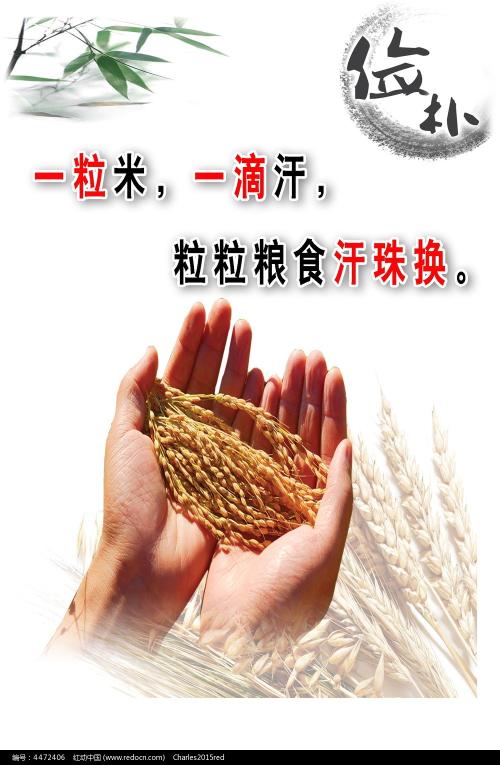 圣十字学院学生卡